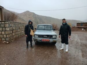 واکسیناسیون دام‌ها در هرسین برای مقابله با تب برفکی