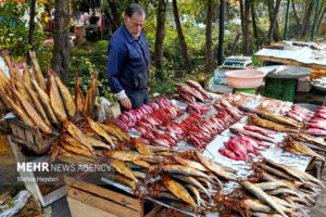 گیلان در یک نگاه