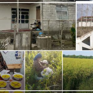 او یک مادر است؛ روایتی از زن گیلانی که قامتش زیر بار زندگی خم نشد