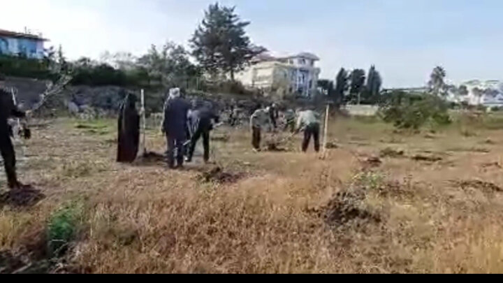 پویش نهالکاری «در سایه مادر» در ساحل مازندران