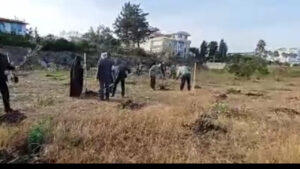پویش نهالکاری «در سایه مادر» در ساحل مازندران