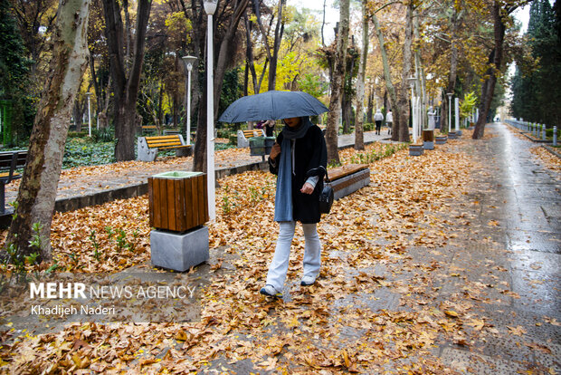 باران پاییزی در چهارباغ اصفهان