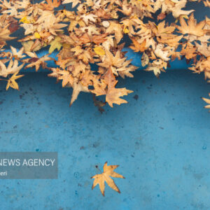 هواشناسی اصفهان: بیشترین بارش در سمیرم ثبت شد