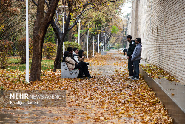 باران پاییزی در چهارباغ اصفهان
