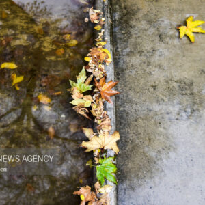 پیش‌بینی بارش‌های پراکنده و رگباری برای لرستان