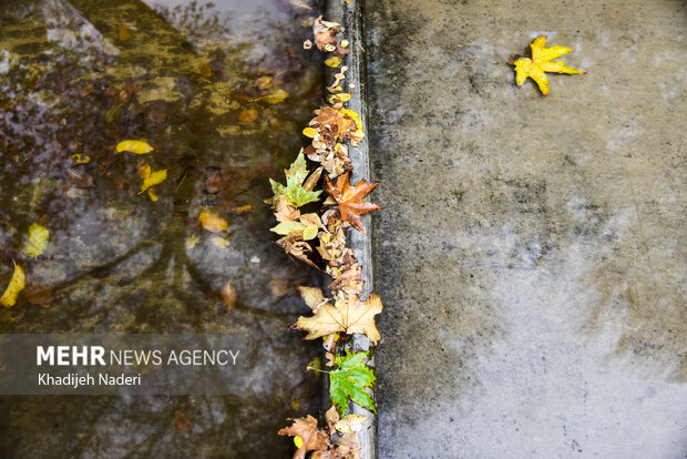 باران پاییزی در چهارباغ اصفهان