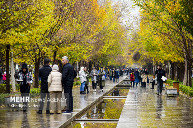 باران پاییزی در چهارباغ اصفهان