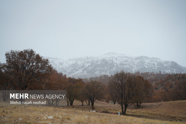 هوای زیبای بارانی شهر یاسوج