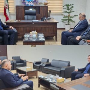 فرماندار تنگستان: توسعه پایدار نیازمند همکاری مؤثر تمامی دستگاه‌ها است