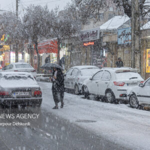 آغاز بارش برف در «سپیدان» فارس