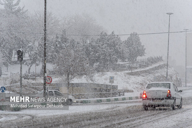 شهرکرد، بام ایران سفید پوش شد