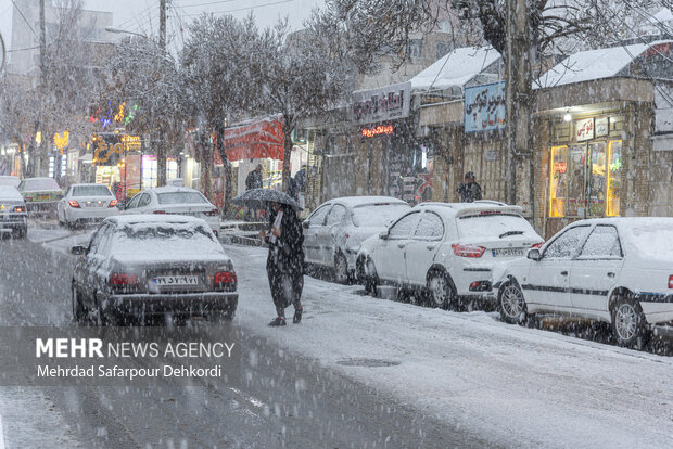 شهرکرد، بام ایران سفید پوش شد