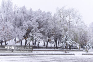 بارش اولین برف پاییزی در منطقه پول کجور
