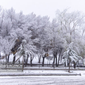 بارش اولین برف پاییزی در منطقه پول کجور
