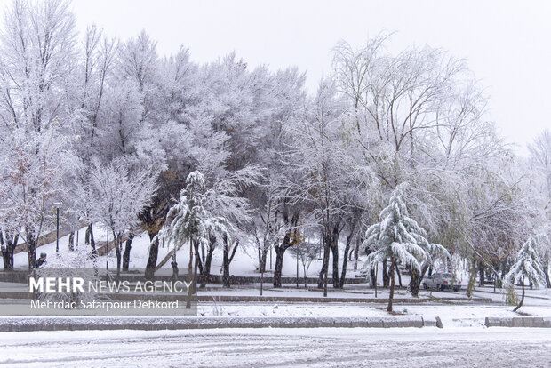 شهرکرد، بام ایران سفید پوش شد