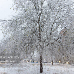 دیلمان سفیدپوش شد