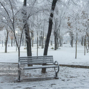 زاهدی: دمای همدان به منفی ۱۳ درجه رسید