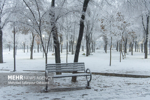 زاهدی: دمای همدان به منفی ۱۳ درجه رسید