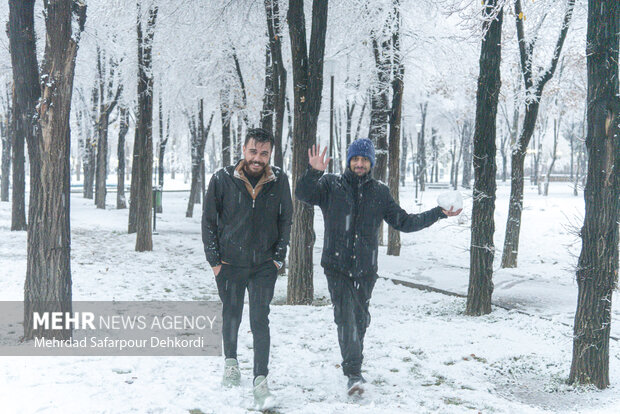 شهرکرد، بام ایران سفید پوش شد
