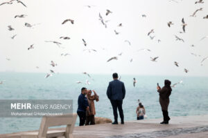 بارش باران پاییزی در بوشهر