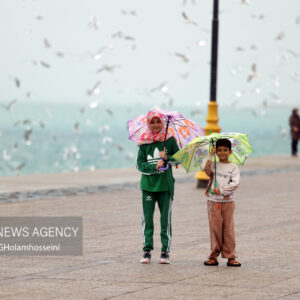جزئیات فعالیت سامانه بارشی اخیر در استان بوشهر