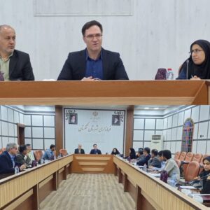 فرماندار تنگستان: تسهیلات باید به دست کارآفرینان برسد