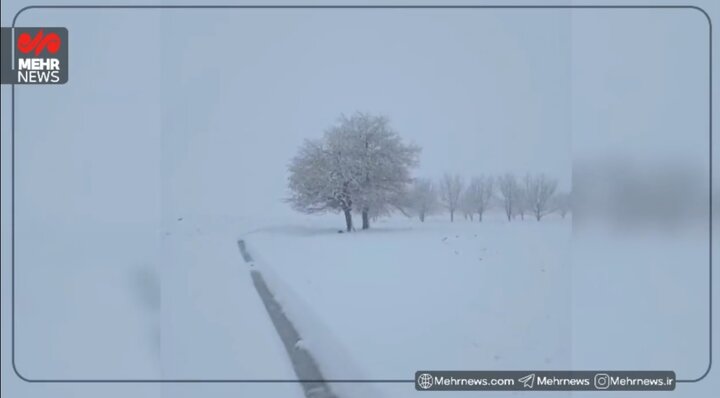 سفیدپوش شدن روستای نوروزآباد
