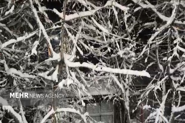 بارش برف در گلیل شیروان آغاز شد