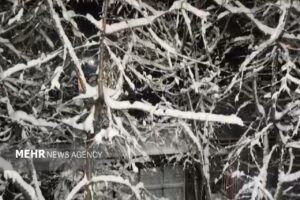 بارش برف در گلیل شیروان آغاز شد