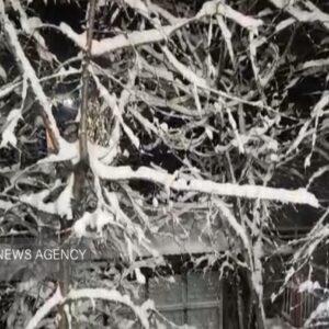 بارش برف در مرکز و محورهای کوهستانی جنوب آذربایجان غربی آغاز شد