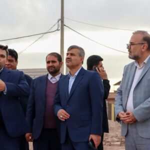 بخشی: فروش دام زنده در ورودی‌های شهرکرمان بهداشت عمومی را تهدید می کند