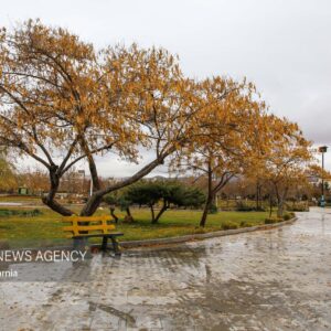 داداشی: بارش باران و برف در خراسان شمالی ادامه دارد