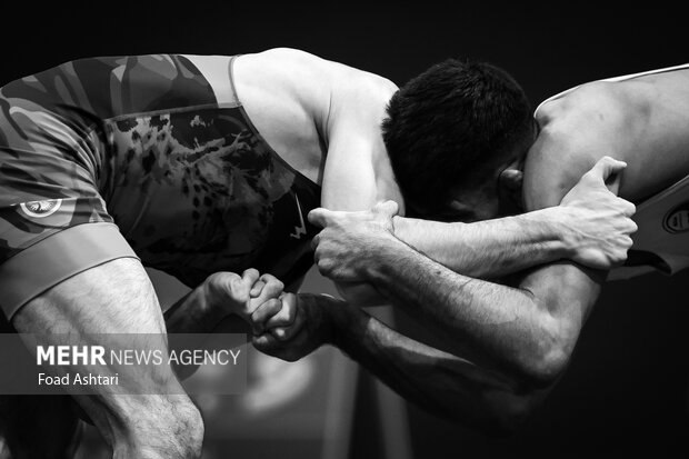 فینال لیگ برتر کشتی آزاد