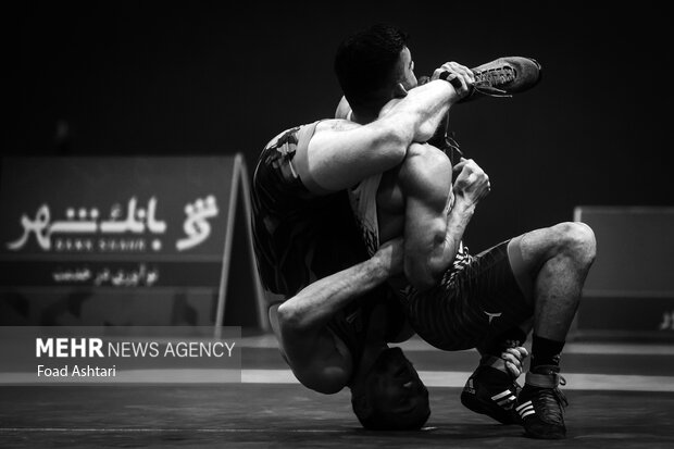 فینال لیگ برتر کشتی آزاد