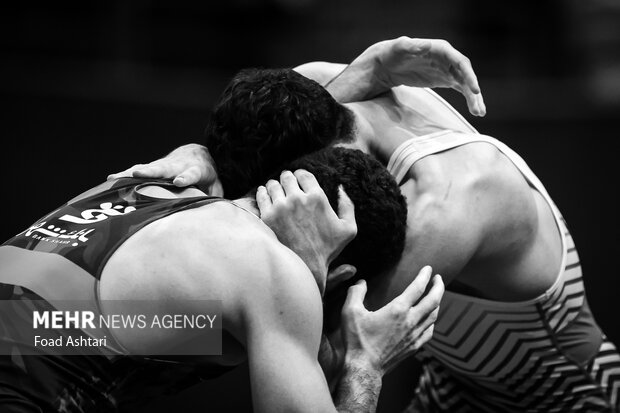 فینال لیگ برتر کشتی آزاد