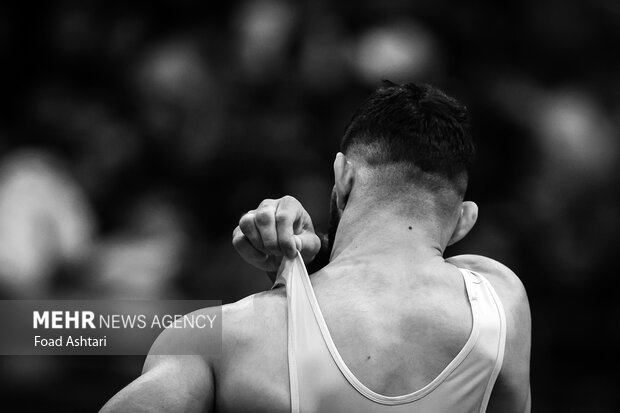 فینال لیگ برتر کشتی آزاد