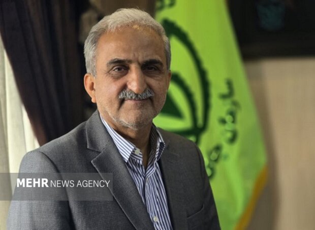 رشد چشمگیر صادرات چای ایران؛ بازار داخلی و خارجی تقویت شد