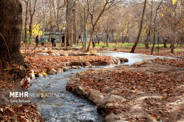 پاییز در طاق‌بستان؛ تلاقی رنگ‌های فصل با تاریخ سنگی کرمانشاه