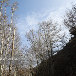 اثمری: دمای مشهد در سردترین ساعات به ۳ درجه خواهد رسید