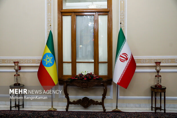 دیدار رئیس مجلس اتیوپی با رئیس مجلس شورای اسلامی