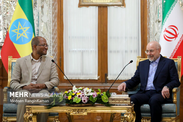 دیدار رئیس مجلس اتیوپی با رئیس مجلس شورای اسلامی
