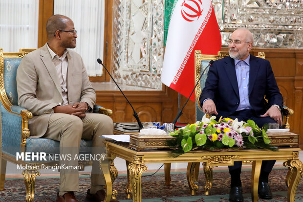 دیدار رئیس مجلس اتیوپی با رئیس مجلس شورای اسلامی