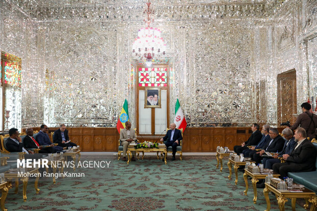 دیدار رئیس مجلس اتیوپی با رئیس مجلس شورای اسلامی