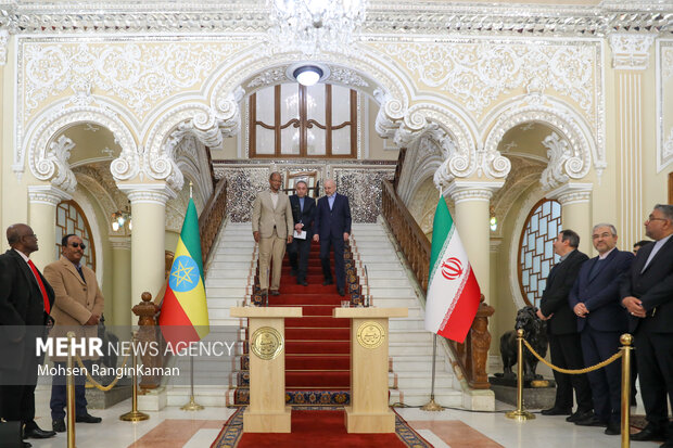 دیدار رئیس مجلس اتیوپی با رئیس مجلس شورای اسلامی