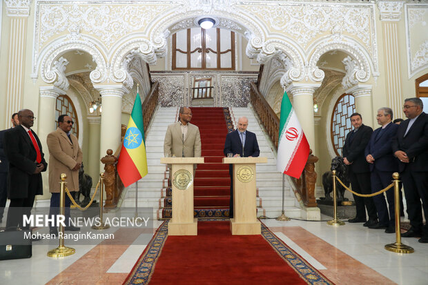 دیدار رئیس مجلس اتیوپی با رئیس مجلس شورای اسلامی