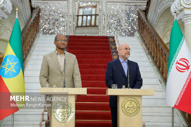 دیدار رئیس مجلس اتیوپی با رئیس مجلس شورای اسلامی