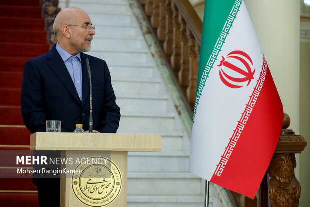 دیدار رئیس مجلس اتیوپی با رئیس مجلس شورای اسلامی