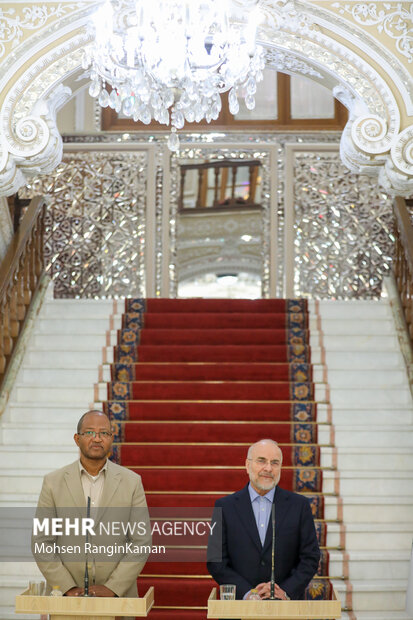 دیدار رئیس مجلس اتیوپی با رئیس مجلس شورای اسلامی