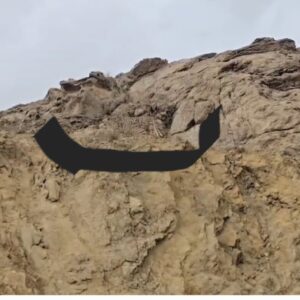 مشاهده یوزپلنگ نر «هیوا» در پارک ملی توران شاهرود