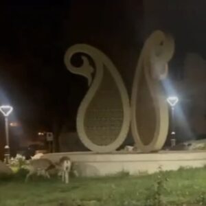 جلوه‌ای از زیبایی‌های طبیعی و حیات‌وحش در شهر شاهرود